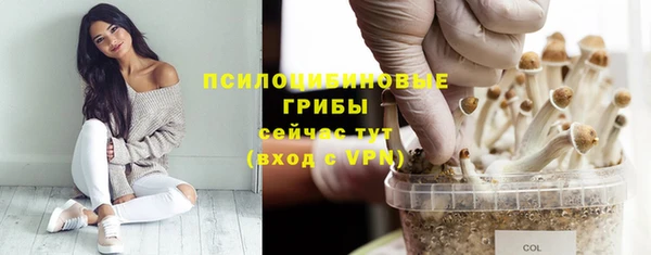 соль курить ск Алексин