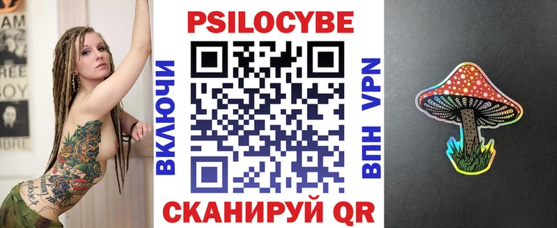 Галлюциногенные грибы Psilocybe  наркота  Дмитриев 